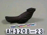 藏品(鳥)的圖片